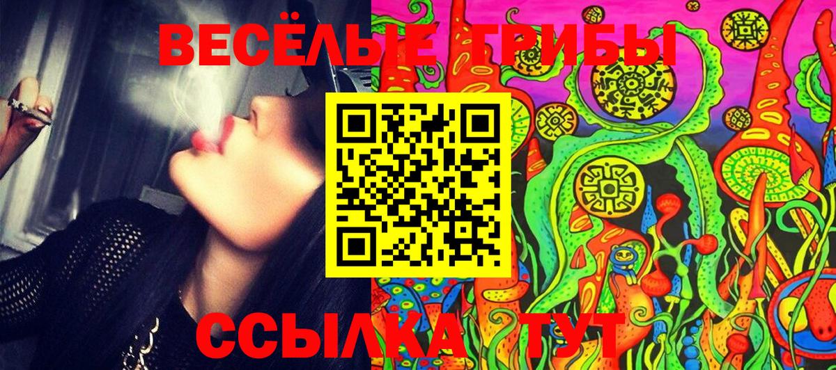 Галлюциногенные грибы мицелий Тольятти