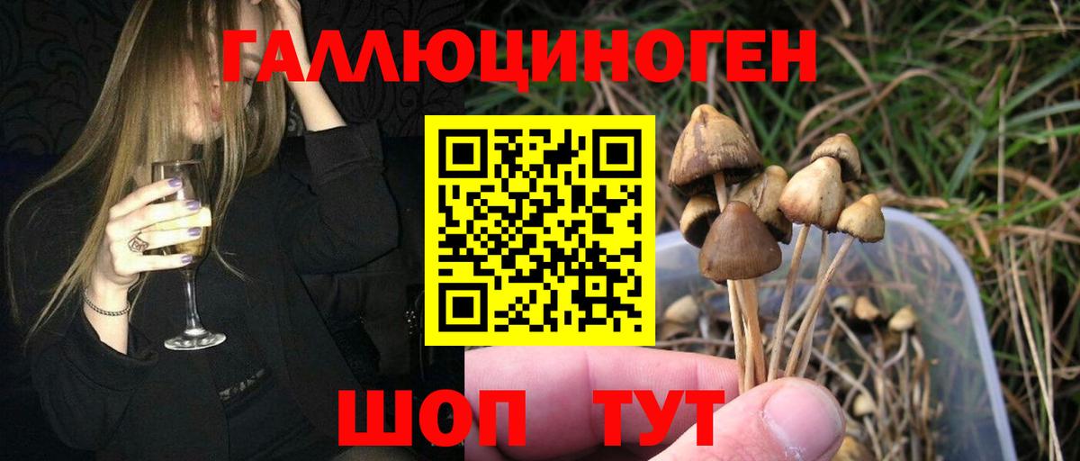 Тольятти  Галлюциногенные грибы GOLDEN TEACHER  Вход с VPN 